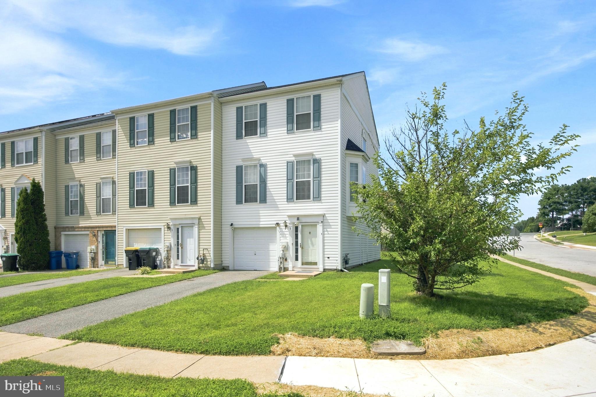 1 LISA DRIVE