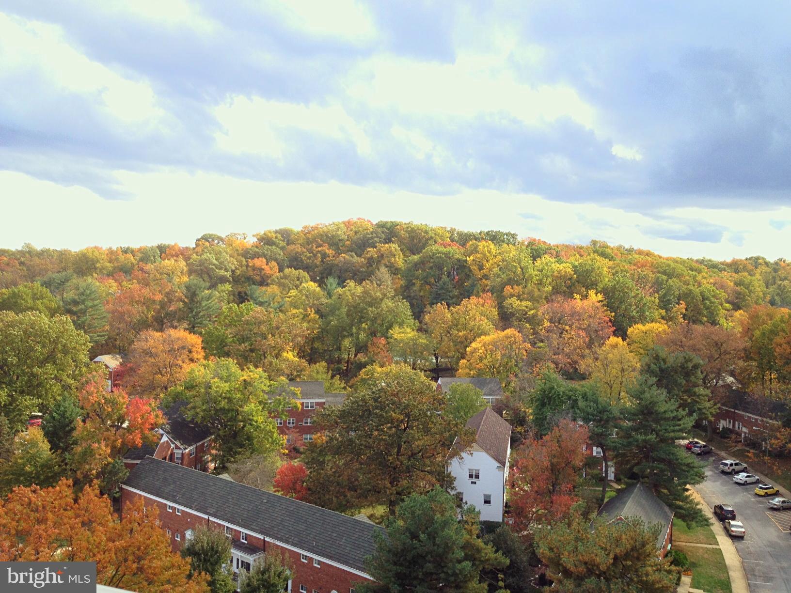 PARC EAST - Residential Lease