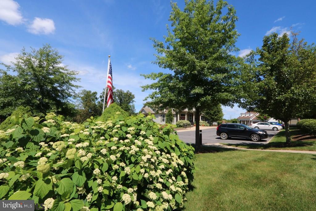 VILLAGE AT PENN STATE - HOMECOMING RIDGE I - Residential