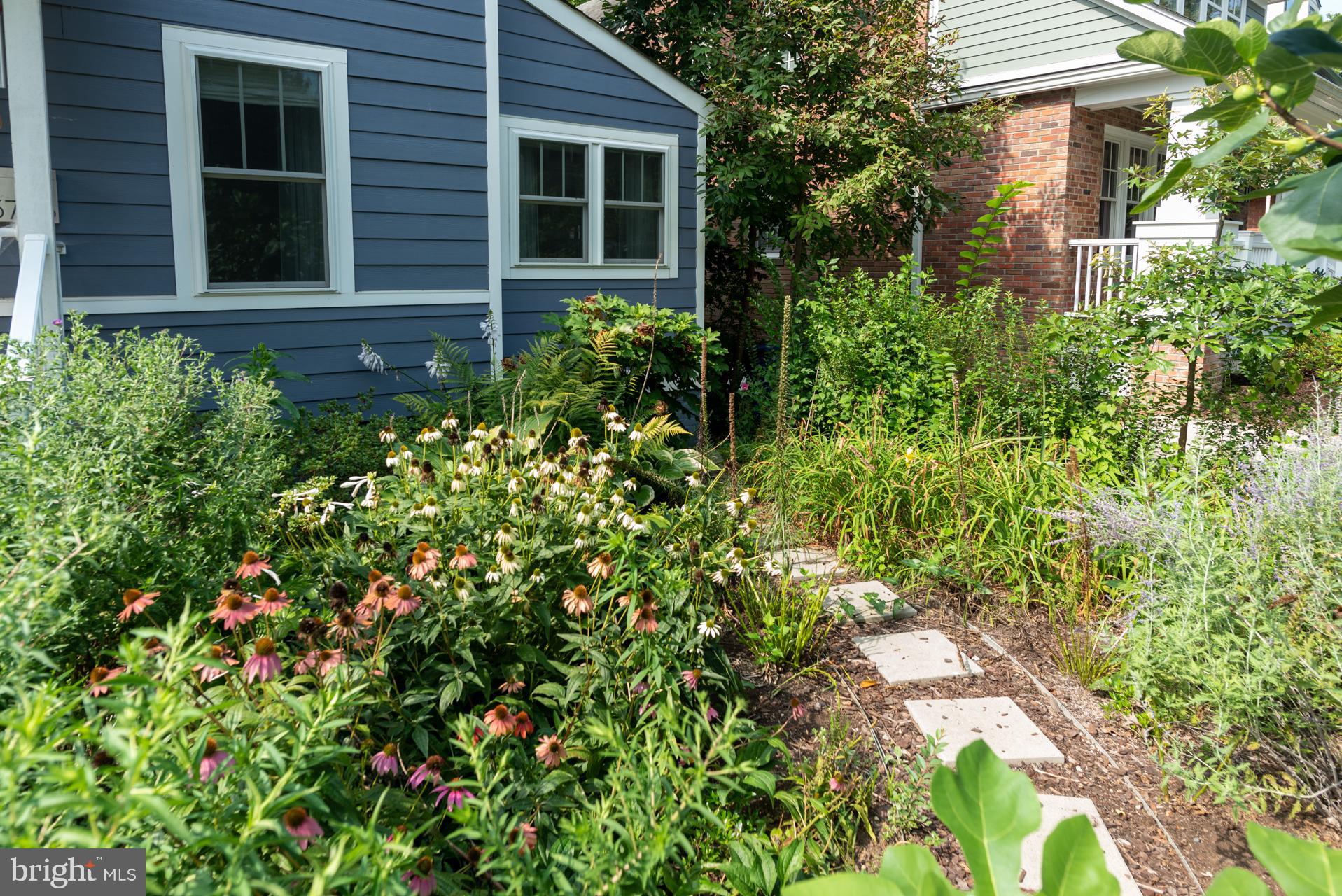 CHERRYDALE - Residential Lease