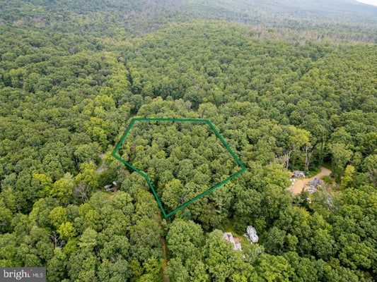 DOGWOOD DR, NEW MARKET, VA 22844 - Image fb1cf07584f91d898cbc9fe44eaf855a/2521532255