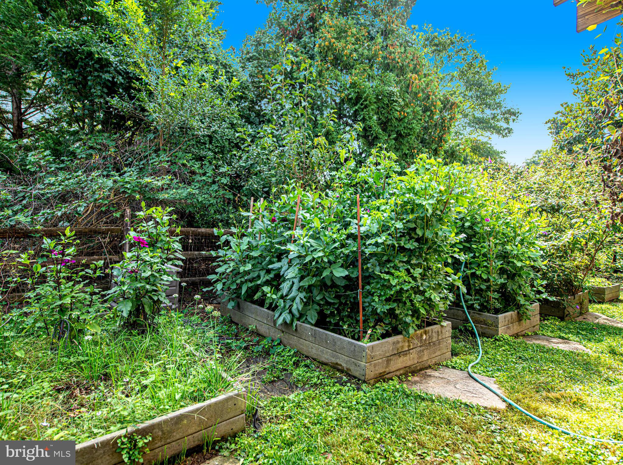 BOXER HILL - Residential