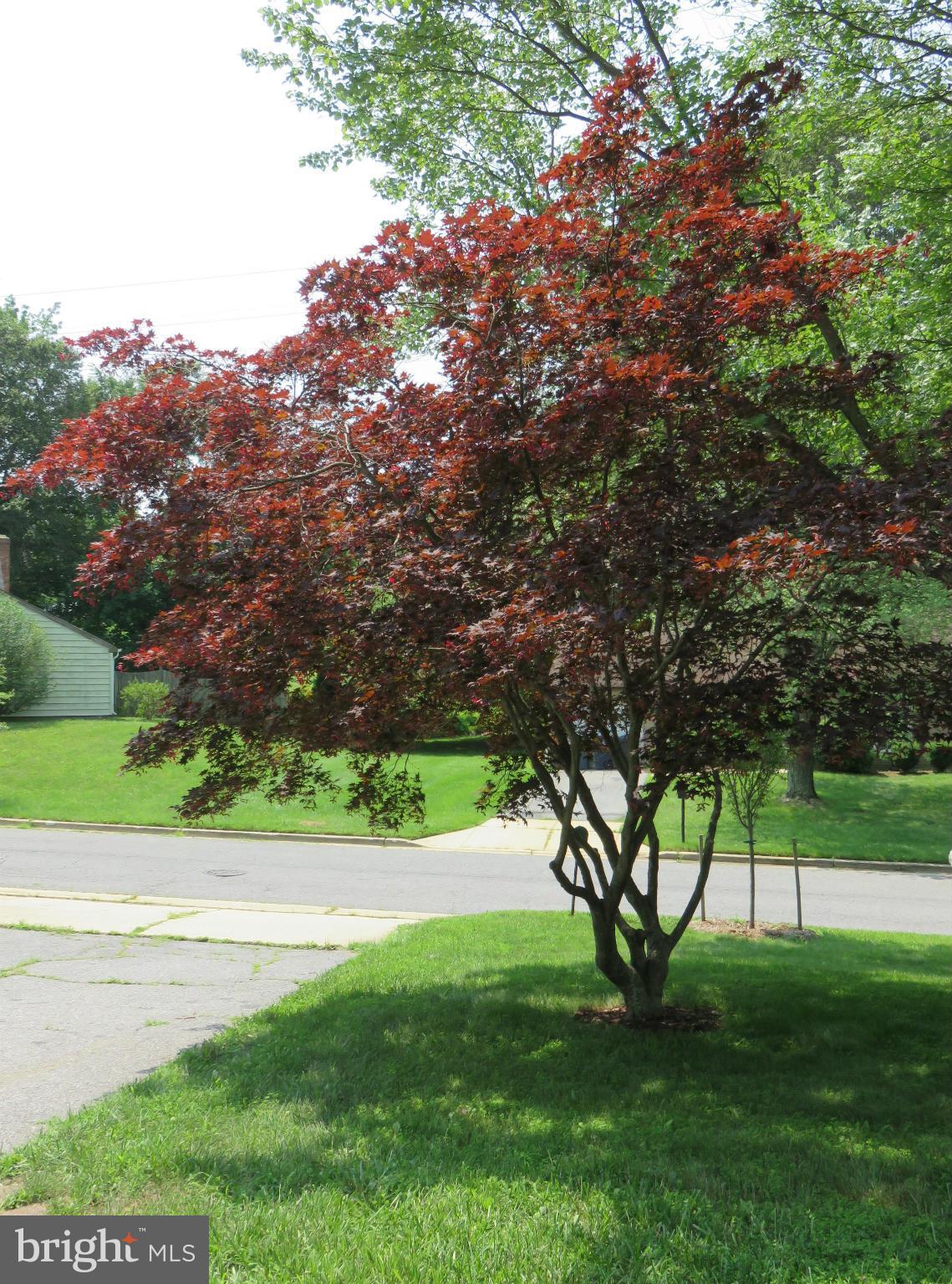 RAMBLING HILLS - Residential