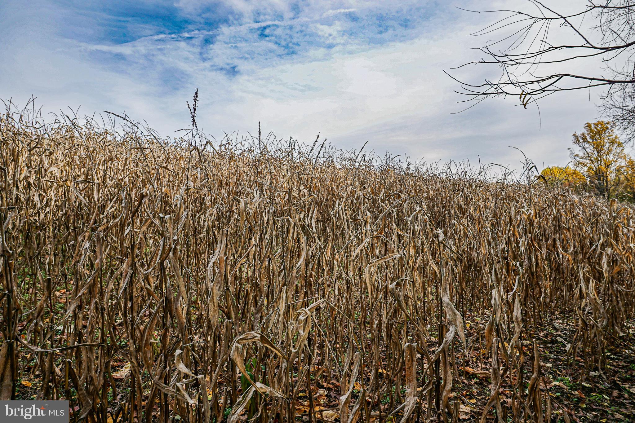 SHREWSBURY TWP - Farm