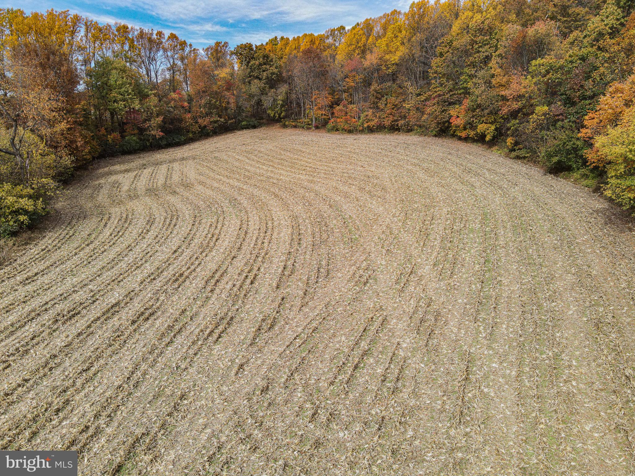 SHREWSBURY TWP - Farm