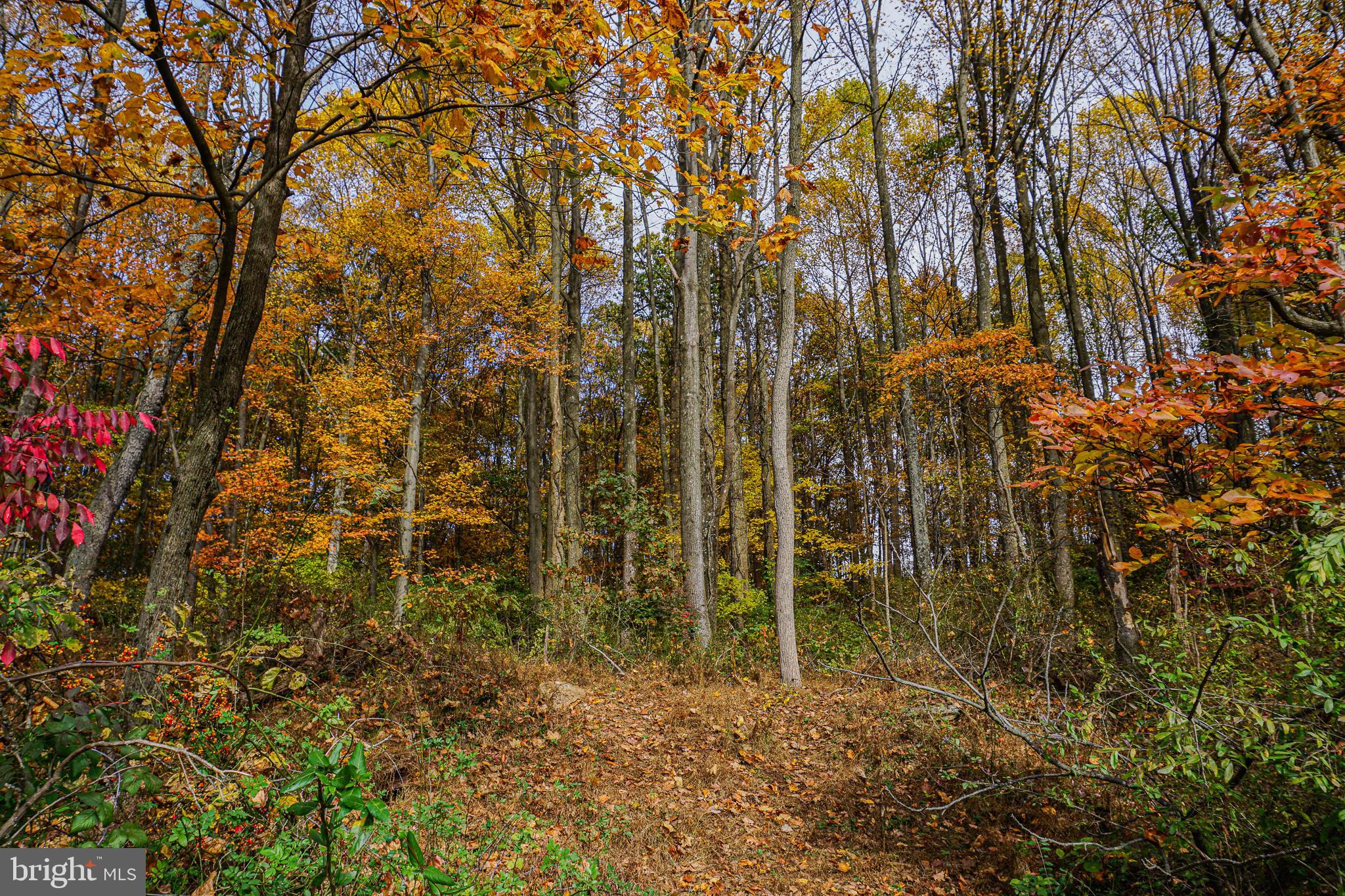 SHREWSBURY TWP - Farm