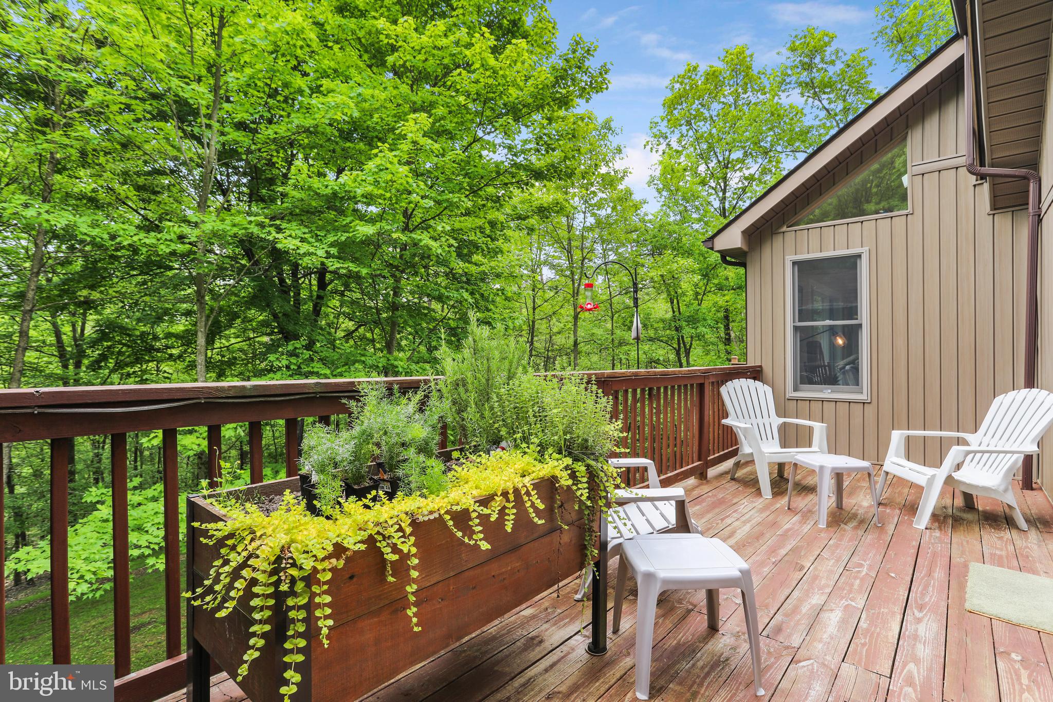 THE WOODS RESORT - Residential