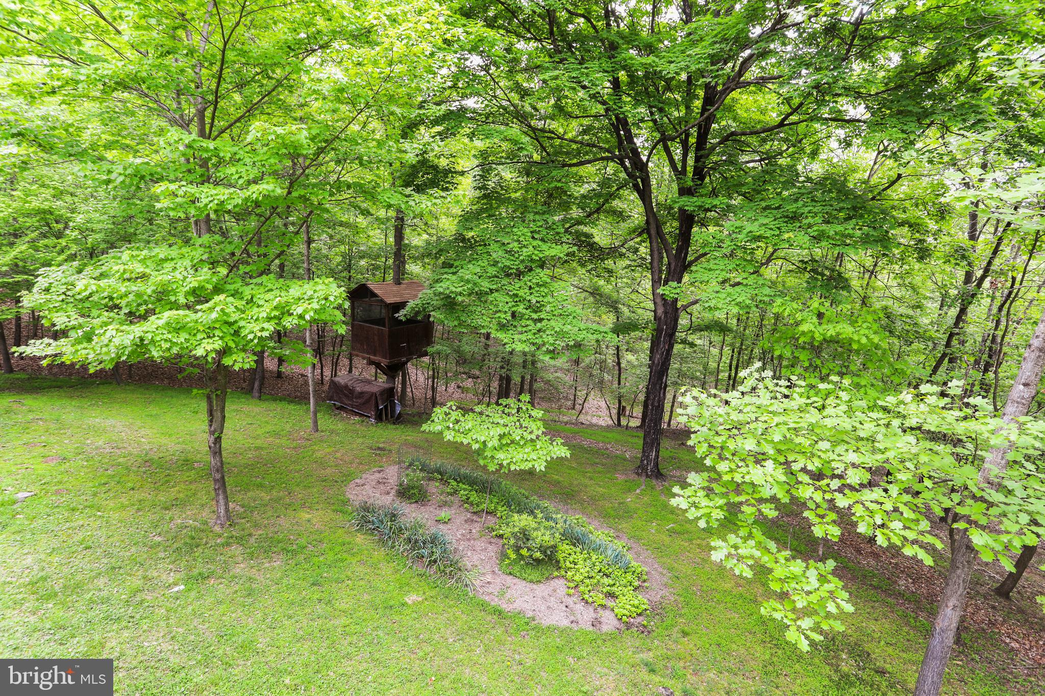 THE WOODS RESORT - Residential