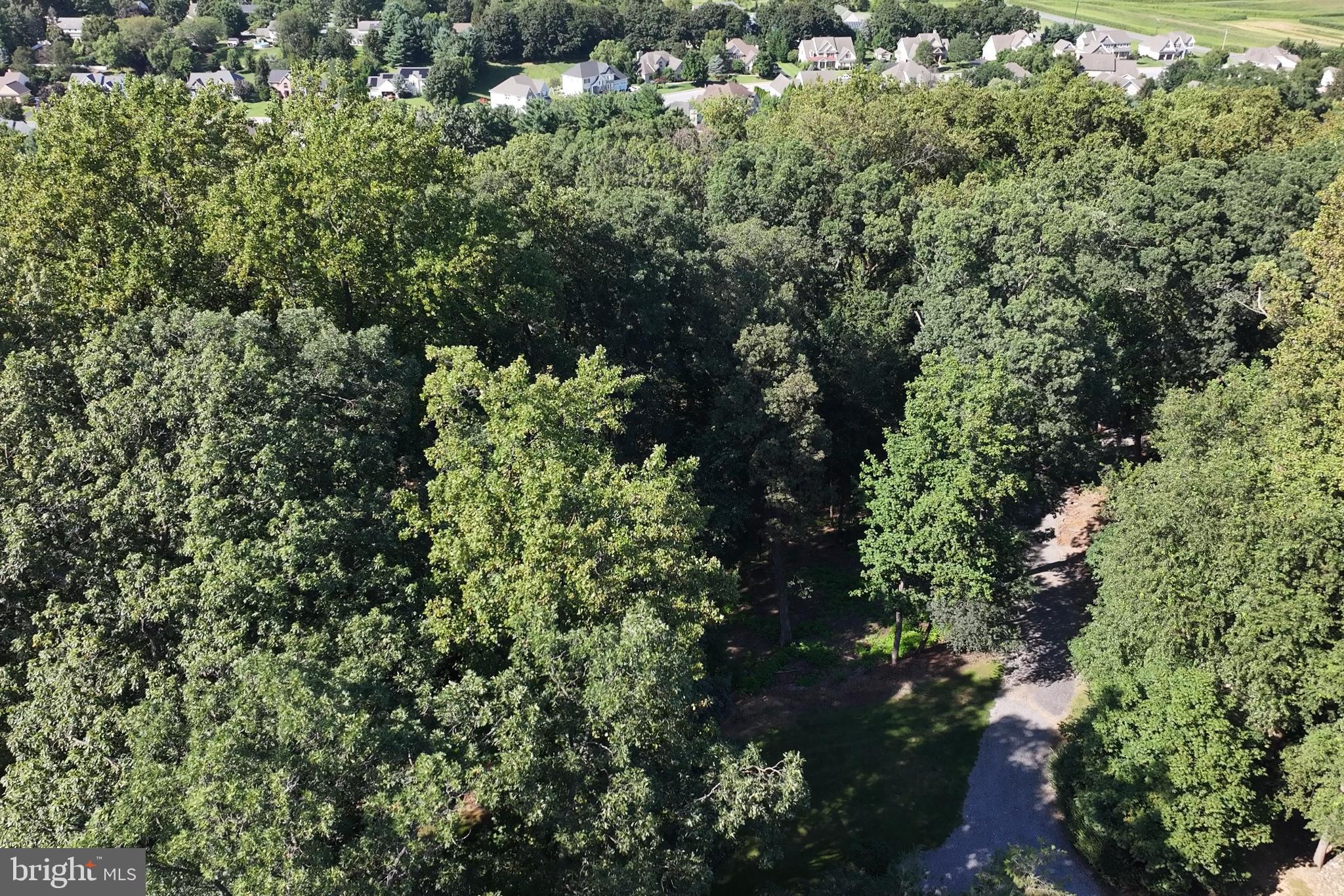 240 NORTHVIEW DRIVE