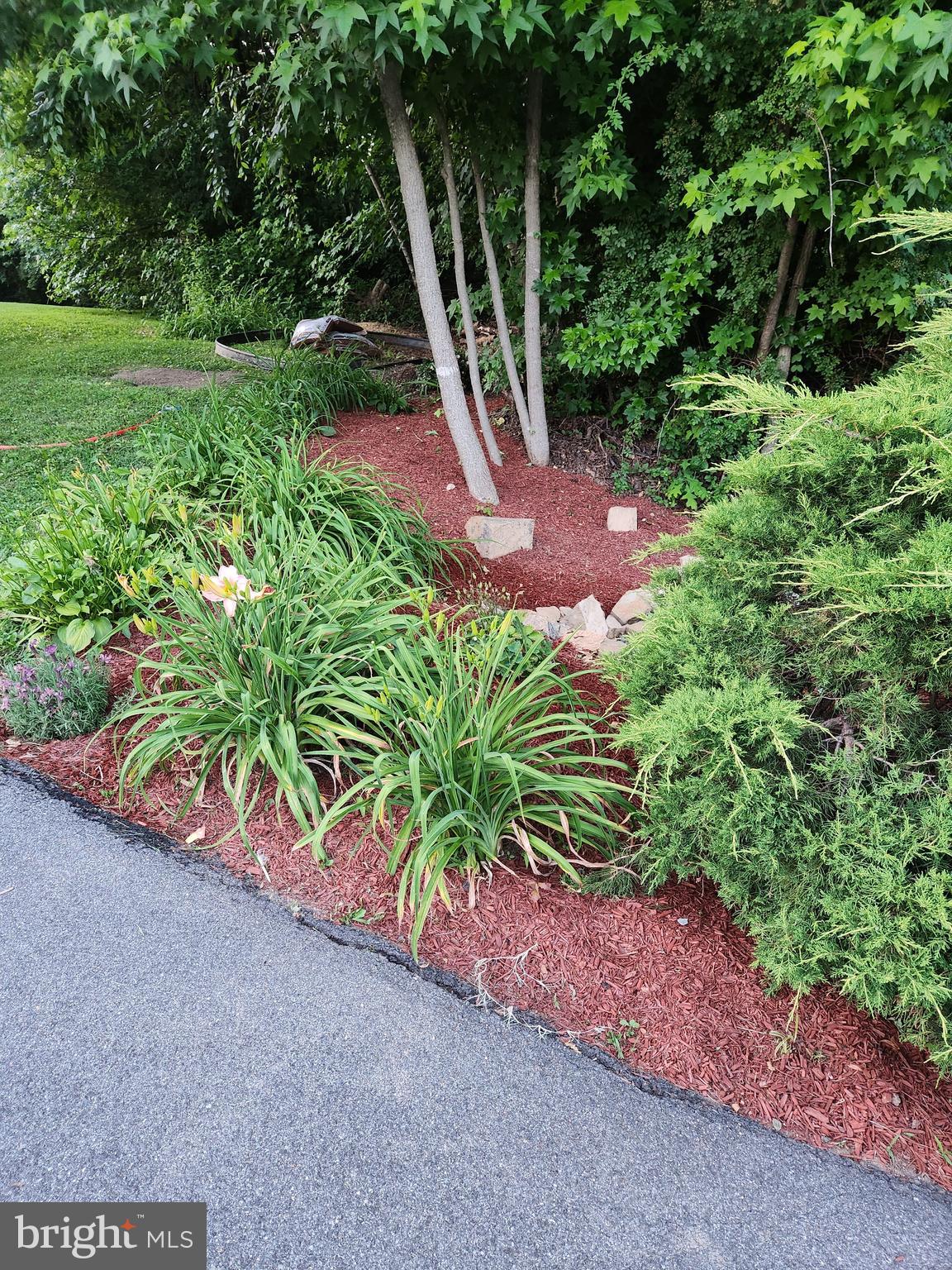 THE POINTS - Residential