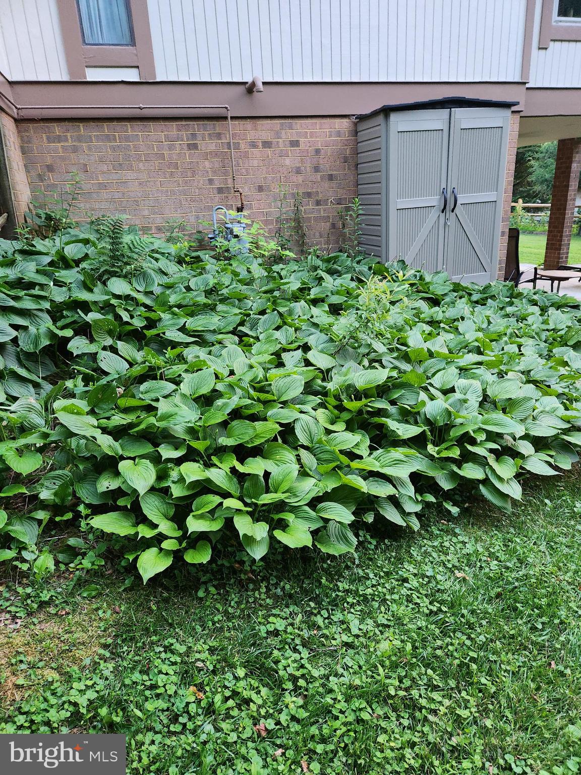 THE POINTS - Residential