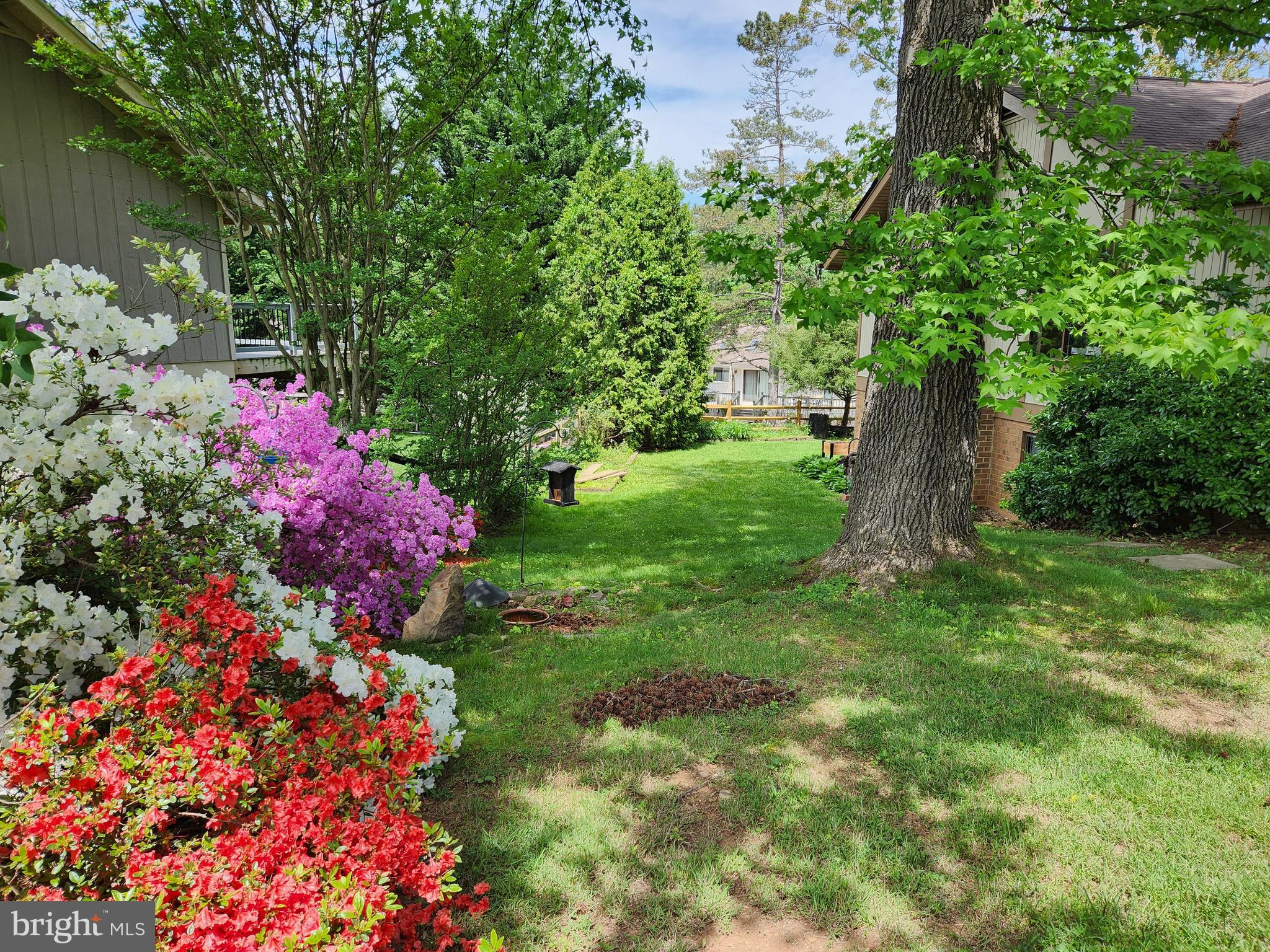 THE POINTS - Residential