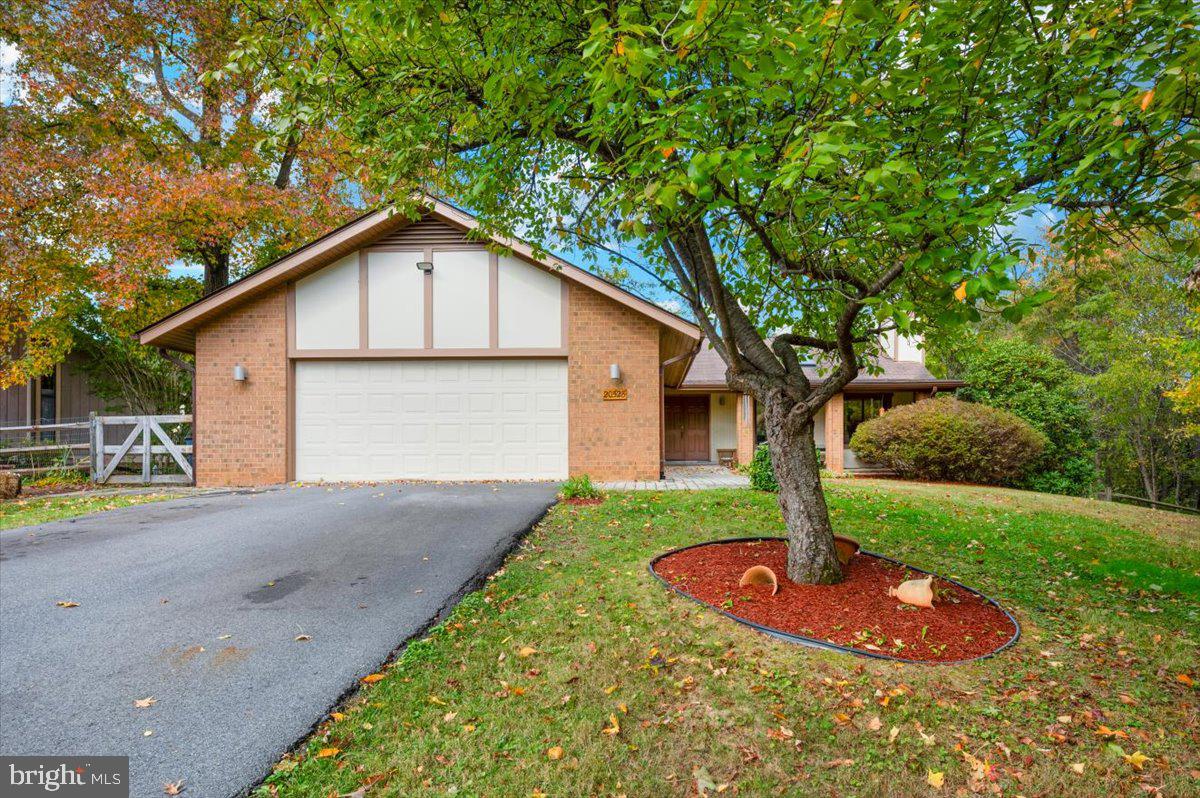 THE POINTS - Residential