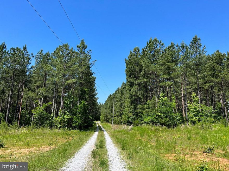 The BK3208-1 Tract is 253.54 acres located west of Green Bay approximately 3 miles from Hwy. 360.  This tract lays rolling with 1,930' of frontage on Mountain Creek Road and a small spring on the southern boundary line.  The timber consists of 83.63 acres of 2001 planted Loblolly pine, 65.83 acres of 2017 planted Loblolly pine, 13.48 acres of 2014 planted Loblolly pine and 84.59 acres of mature hardwoods.  The BK3208-1 Tract is an excellent timber investment along with great wildlife habitat for hunting.  This tract would also make a nice homestead or a farm.  There is an easement going through the property for an adjoining landowner to the west.  This property will need to be surveyed and approved by the county before closing.