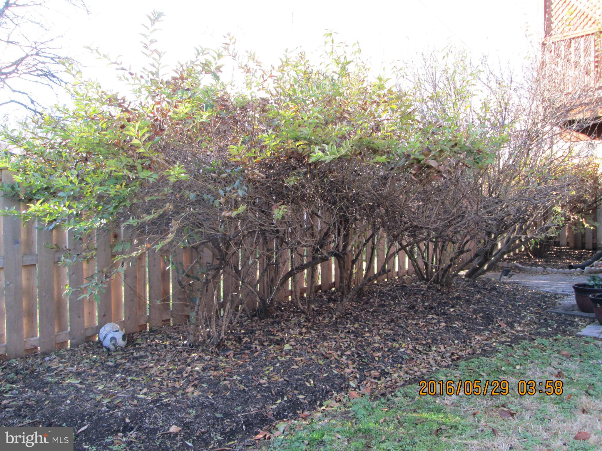 AUDUBON SQUARE - Residential