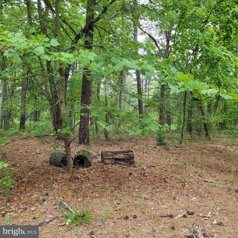 Vacant Land For Sale - 710 Taft Street<br/> Burlington County, BROWNS MILLS, NJ 08015