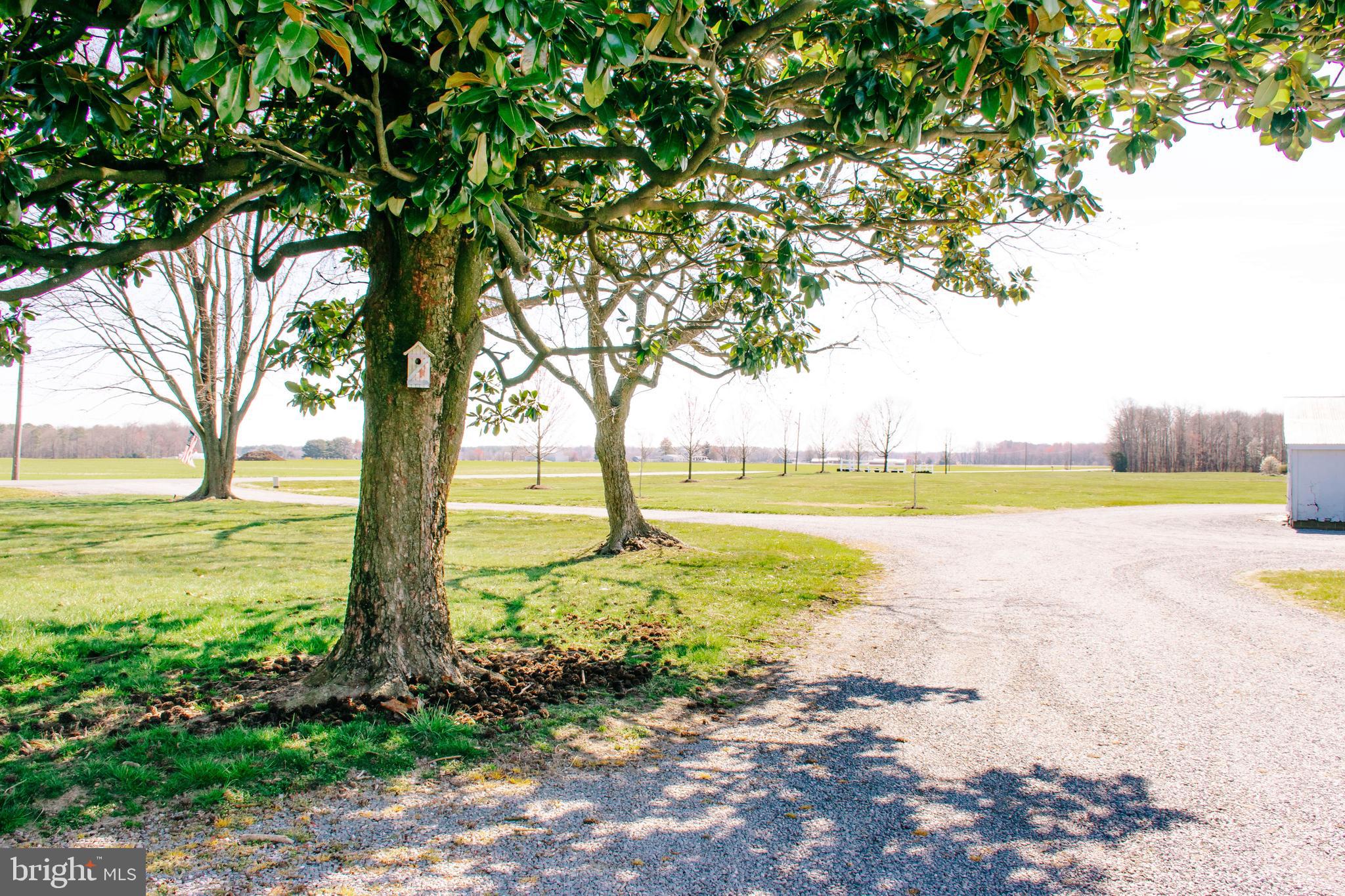 NONE AVAILABLE - Farm