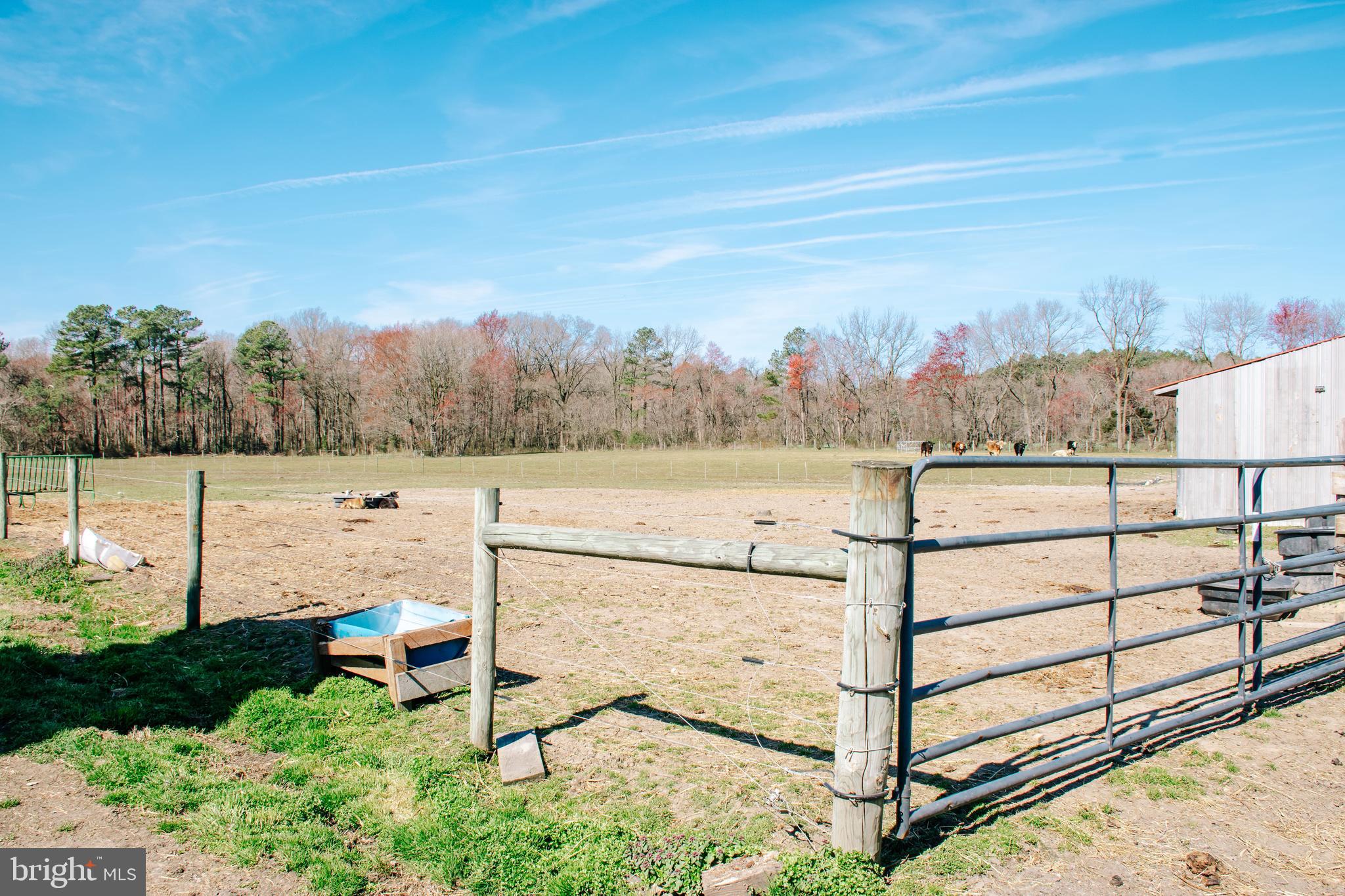 NONE AVAILABLE - Farm