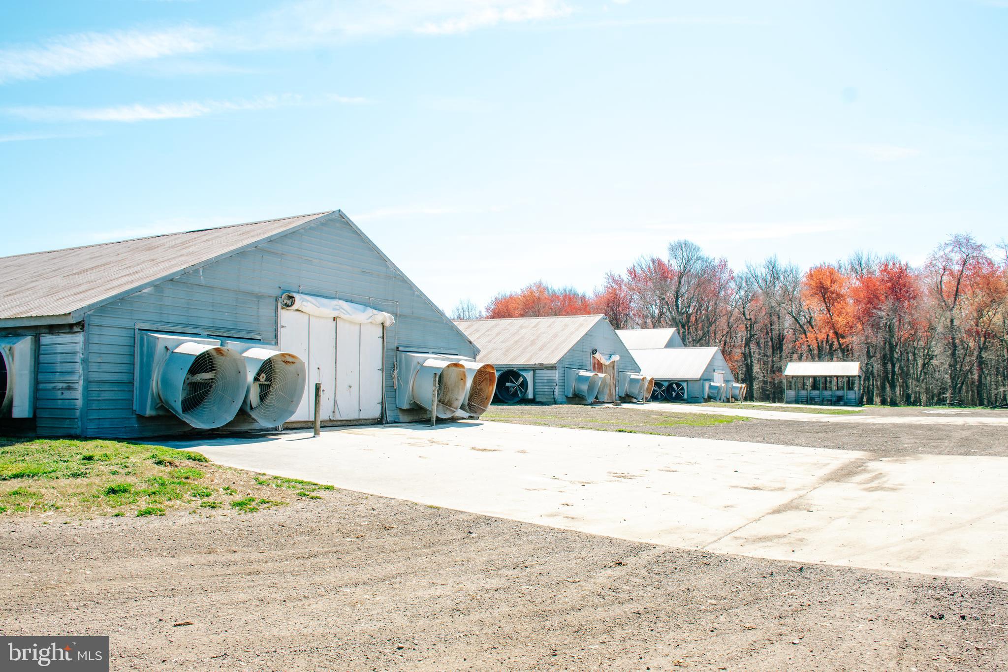 NONE AVAILABLE - Farm