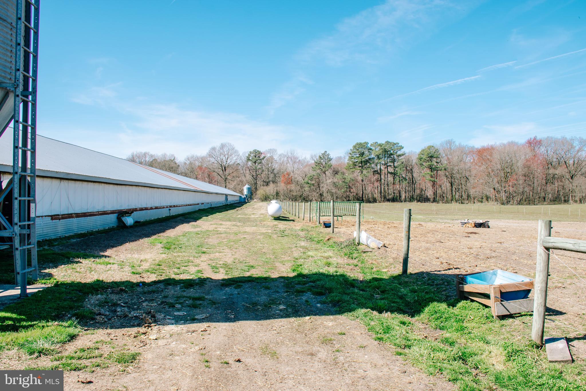 NONE AVAILABLE - Farm