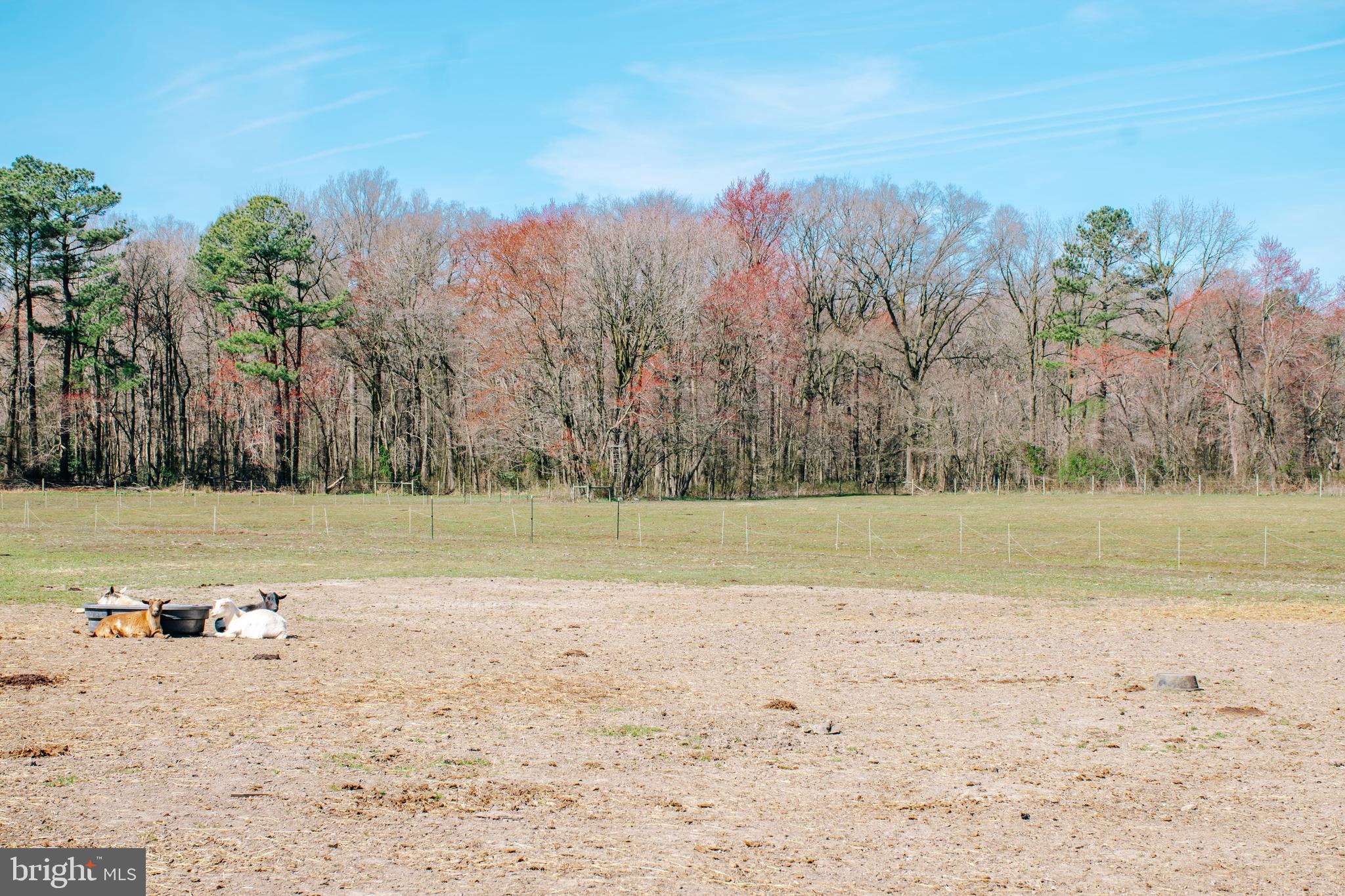 NONE AVAILABLE - Farm