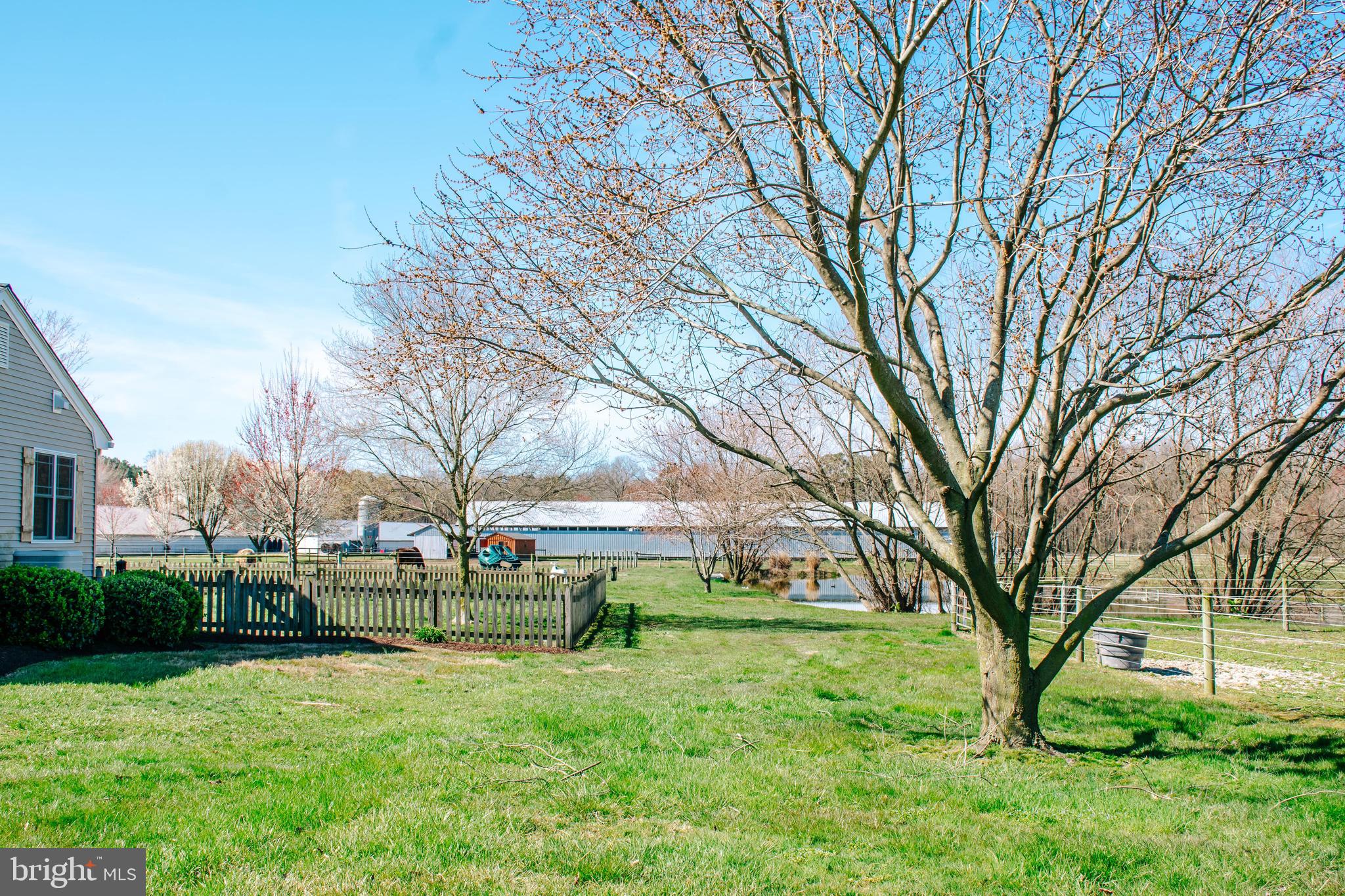 NONE AVAILABLE - Farm