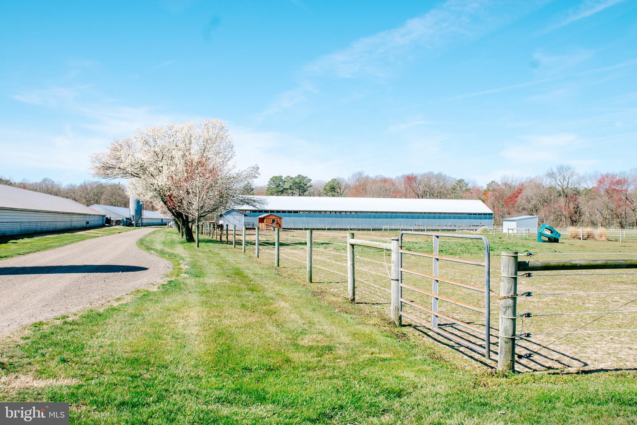 NONE AVAILABLE - Farm