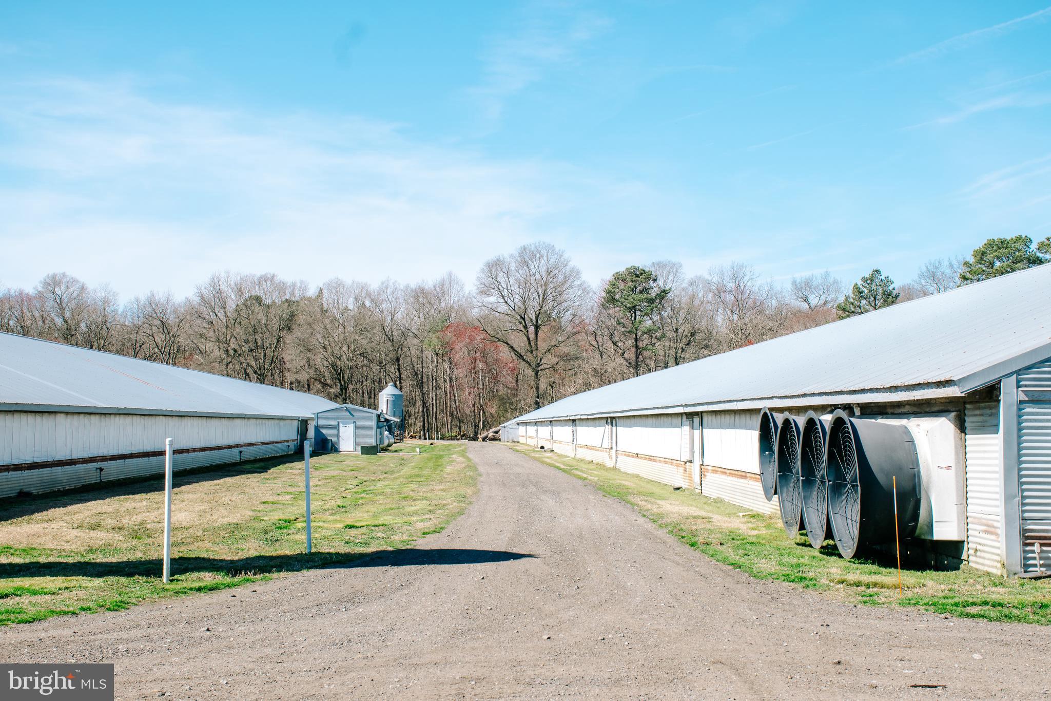 NONE AVAILABLE - Farm