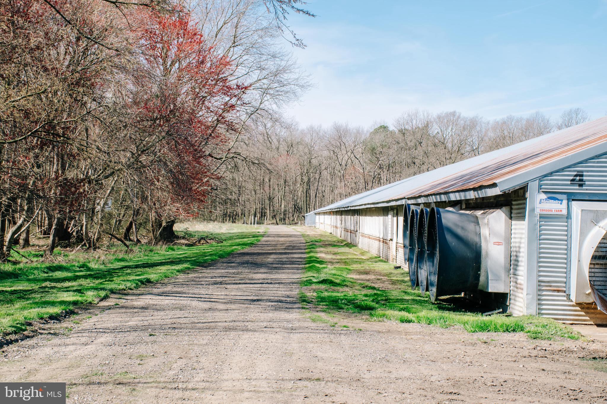 NONE AVAILABLE - Farm