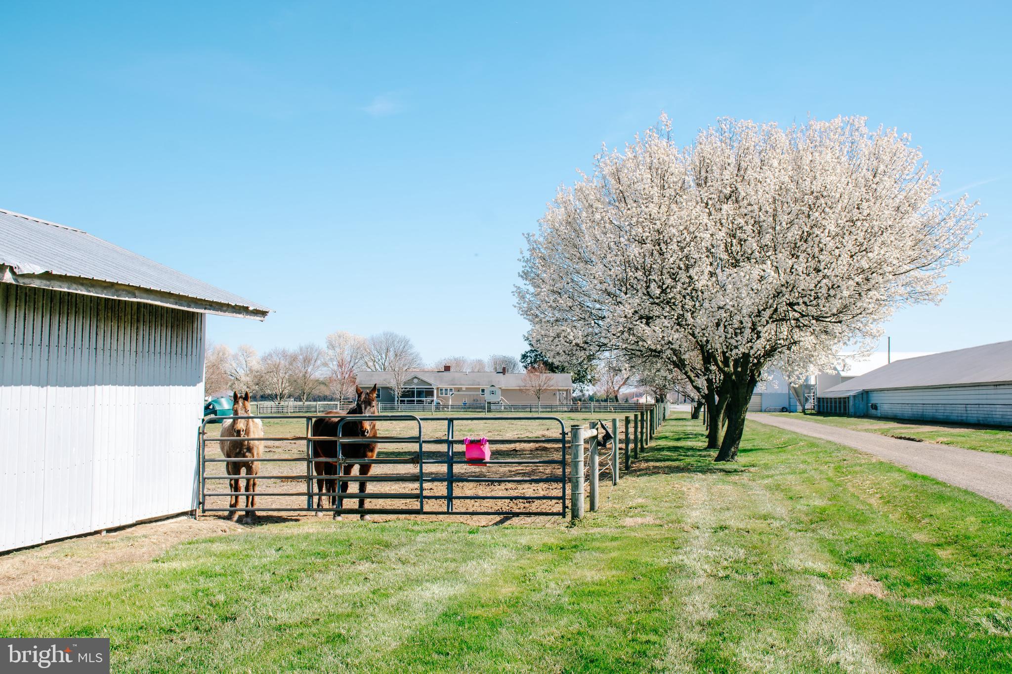 NONE AVAILABLE - Farm