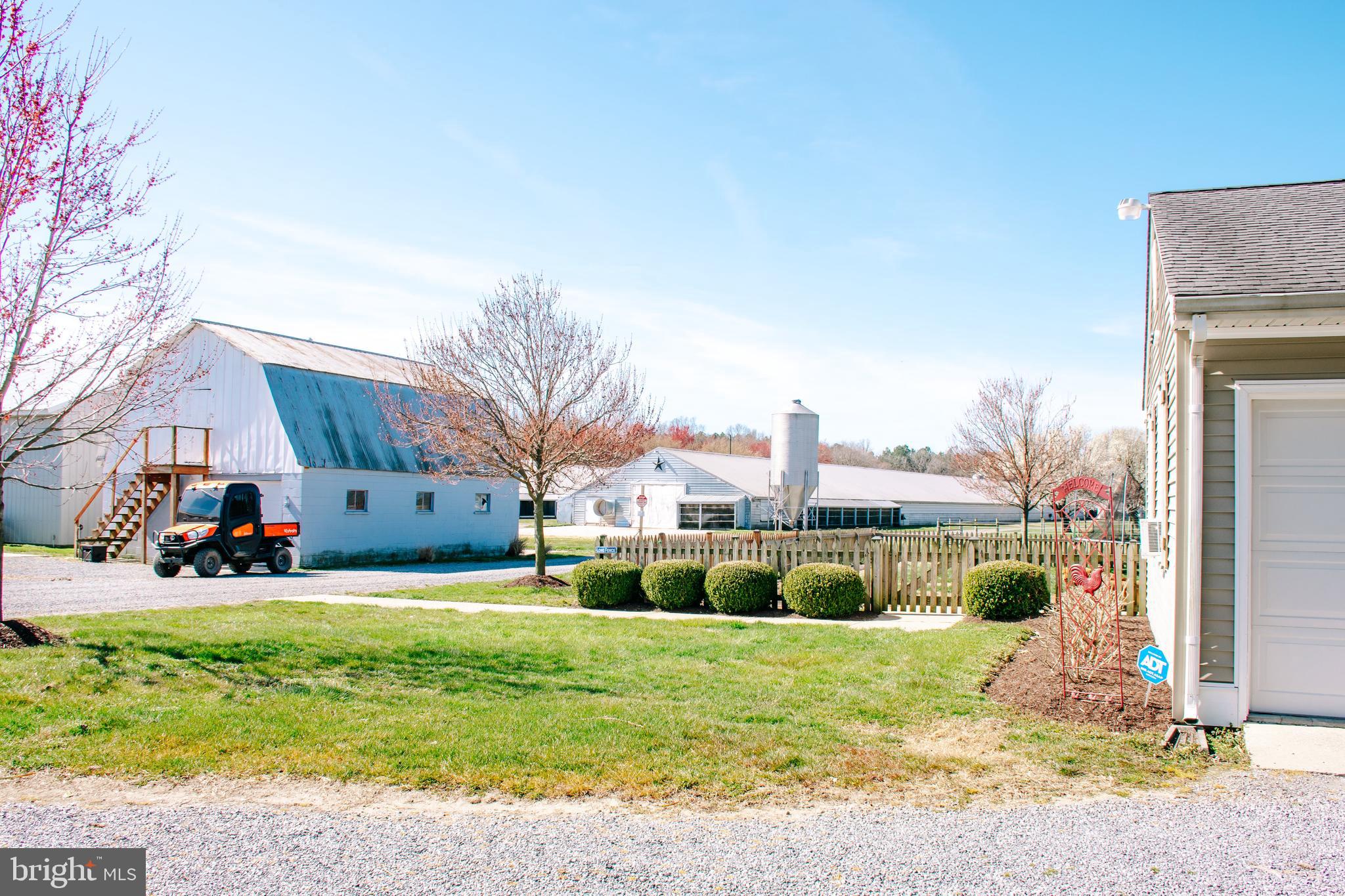 NONE AVAILABLE - Farm