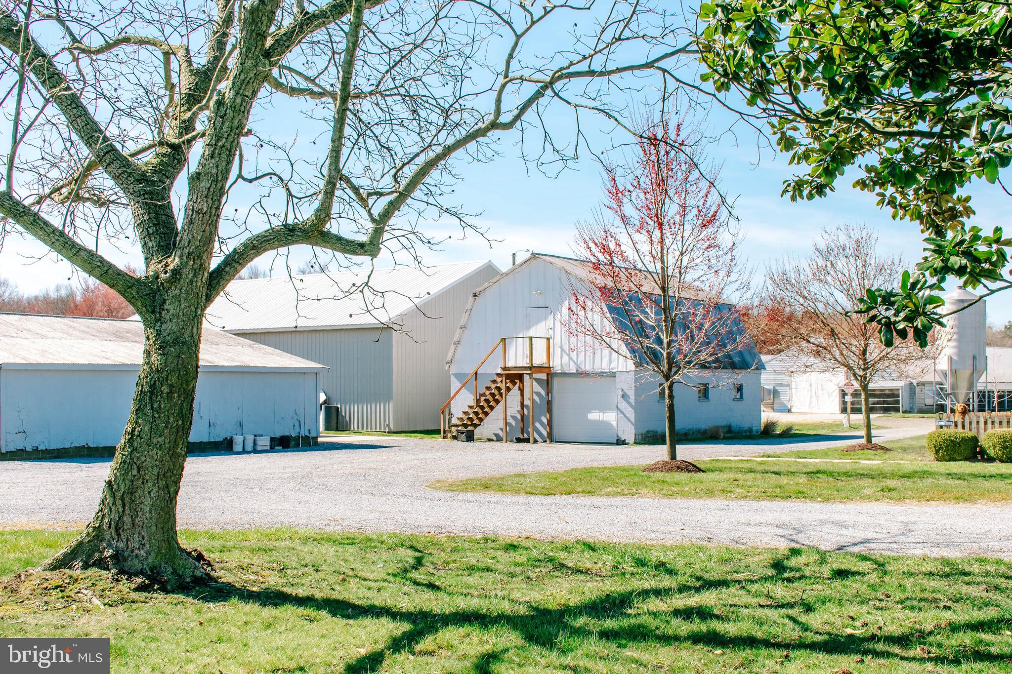 NONE AVAILABLE - Farm