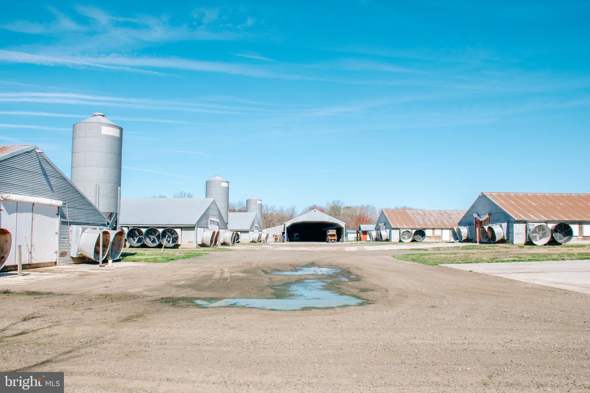 NONE AVAILABLE - Farm