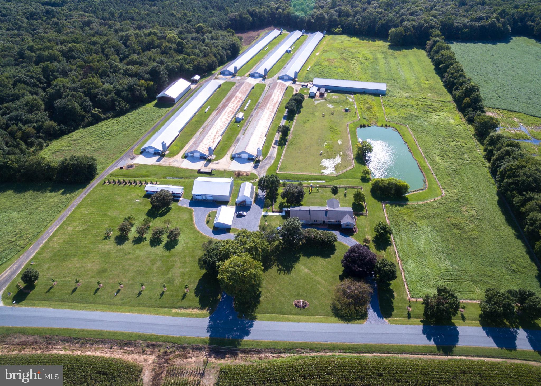 NONE AVAILABLE - Farm