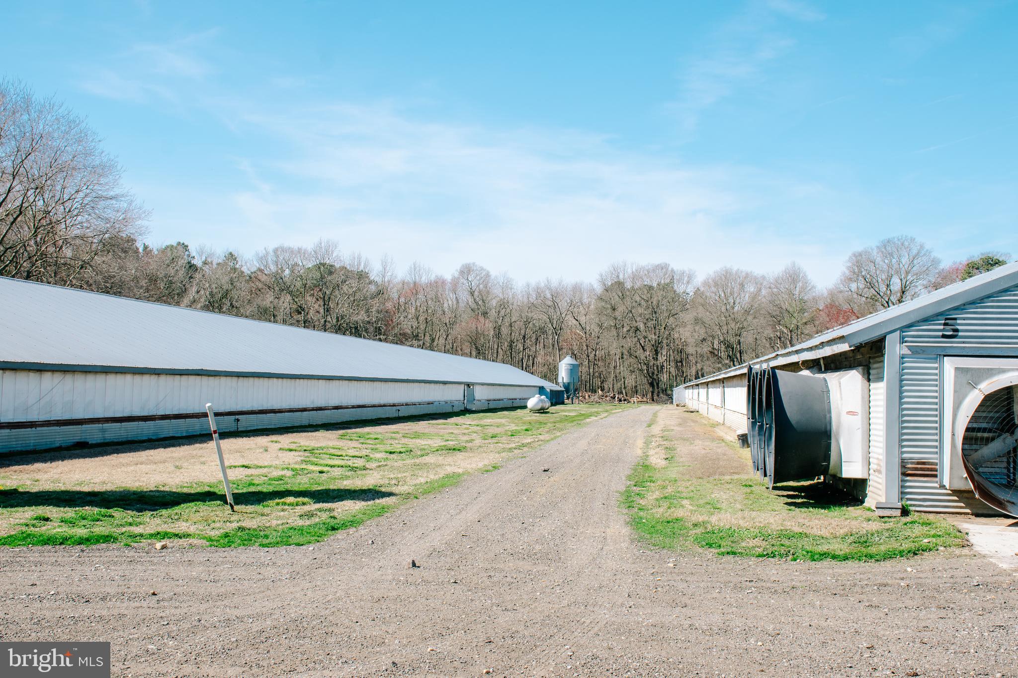 NONE AVAILABLE - Farm