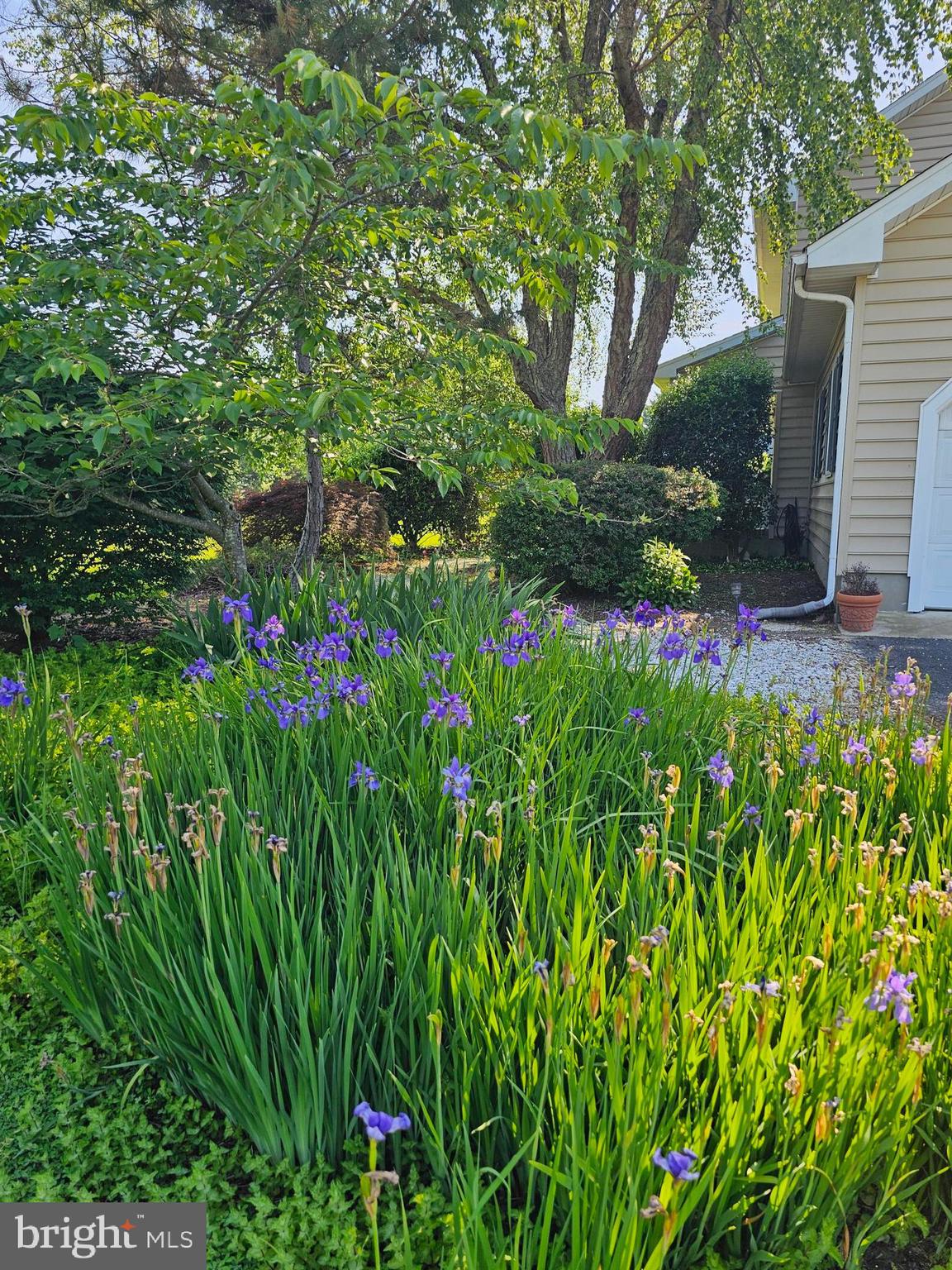 24749 SWAN ROAD