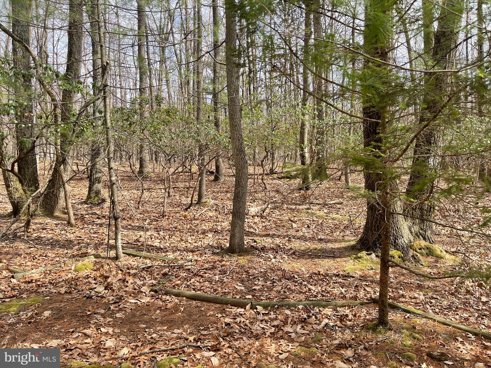 WHIPPOORWILL LN - Residential