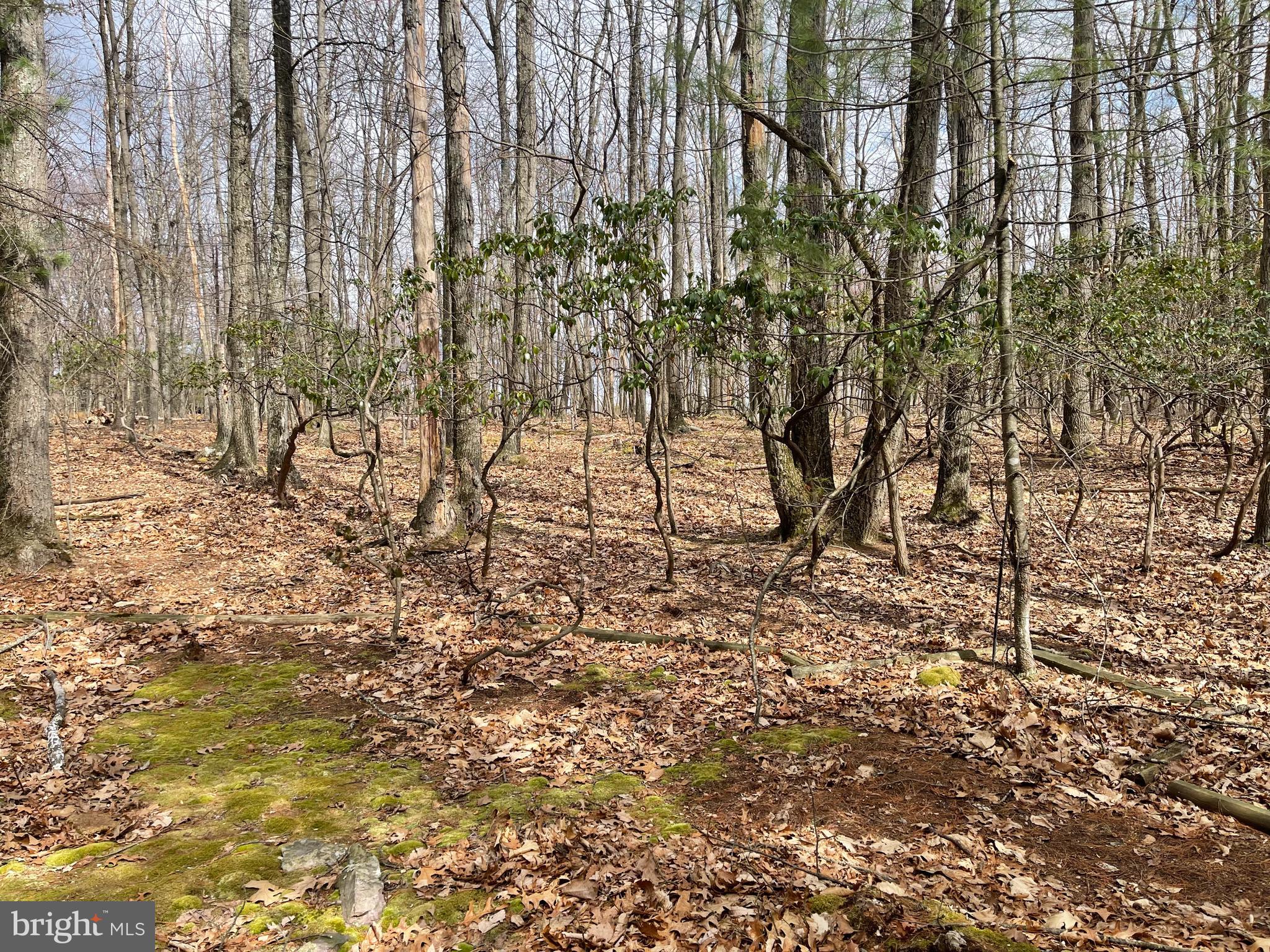 WHIPPOORWILL LN - Residential