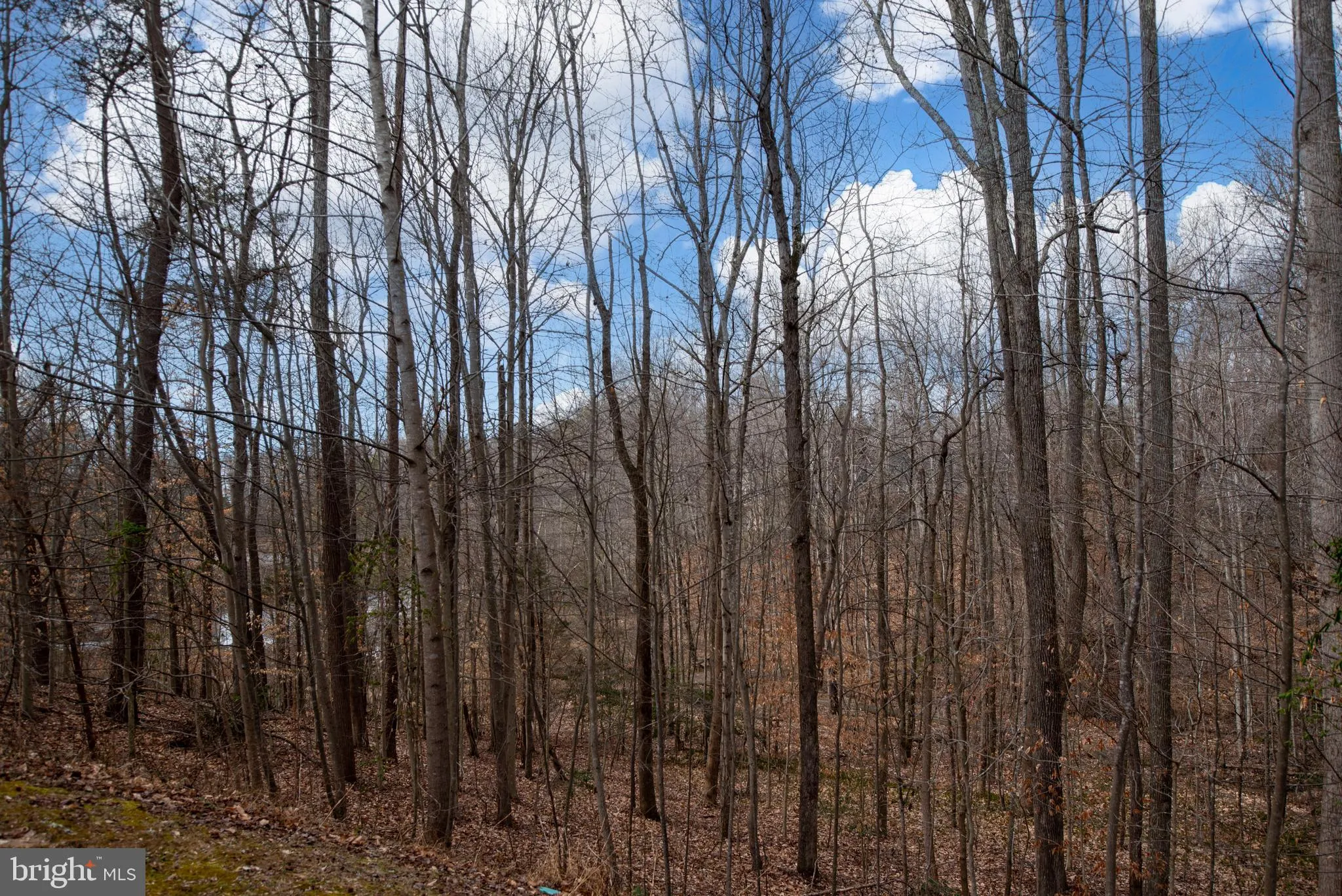 King George, Virginia 22485, United States, 3 Bedrooms Bedrooms, ,3 BathroomsBathrooms,Residential,Pending,7197