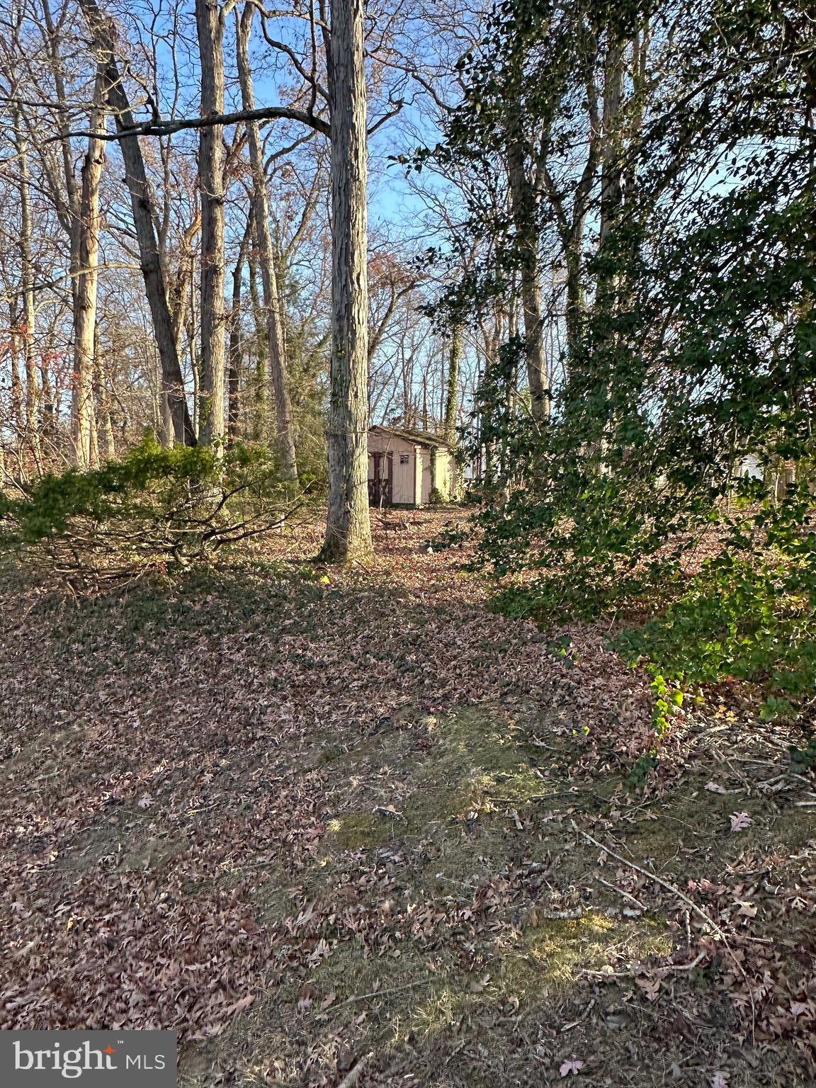 FORT WASHINGTON FOREST - Residential