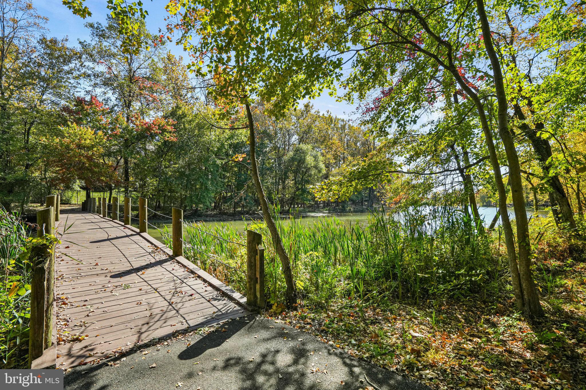 LARGO TOWN CENTER - Residential
