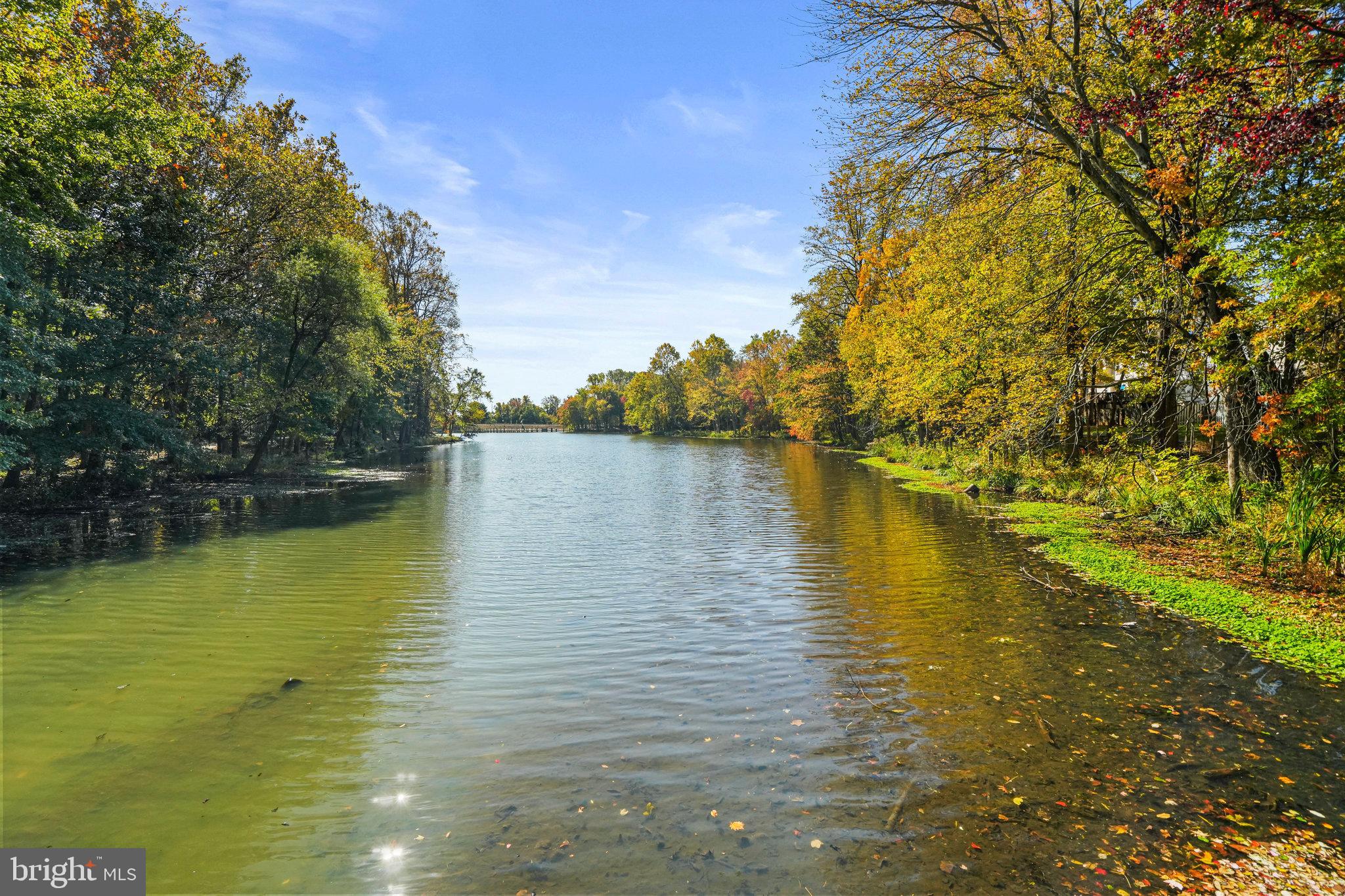 LARGO TOWN CENTER - Residential
