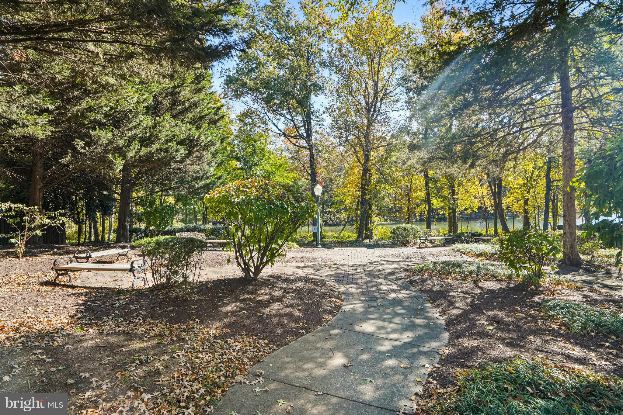 LARGO TOWN CENTER - Residential