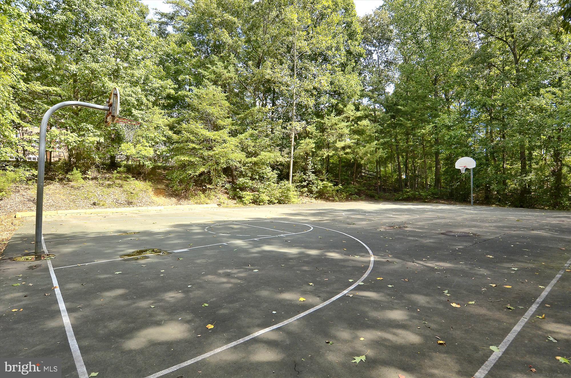 FAIRFAX CLUB ESTATES - Residential Lease