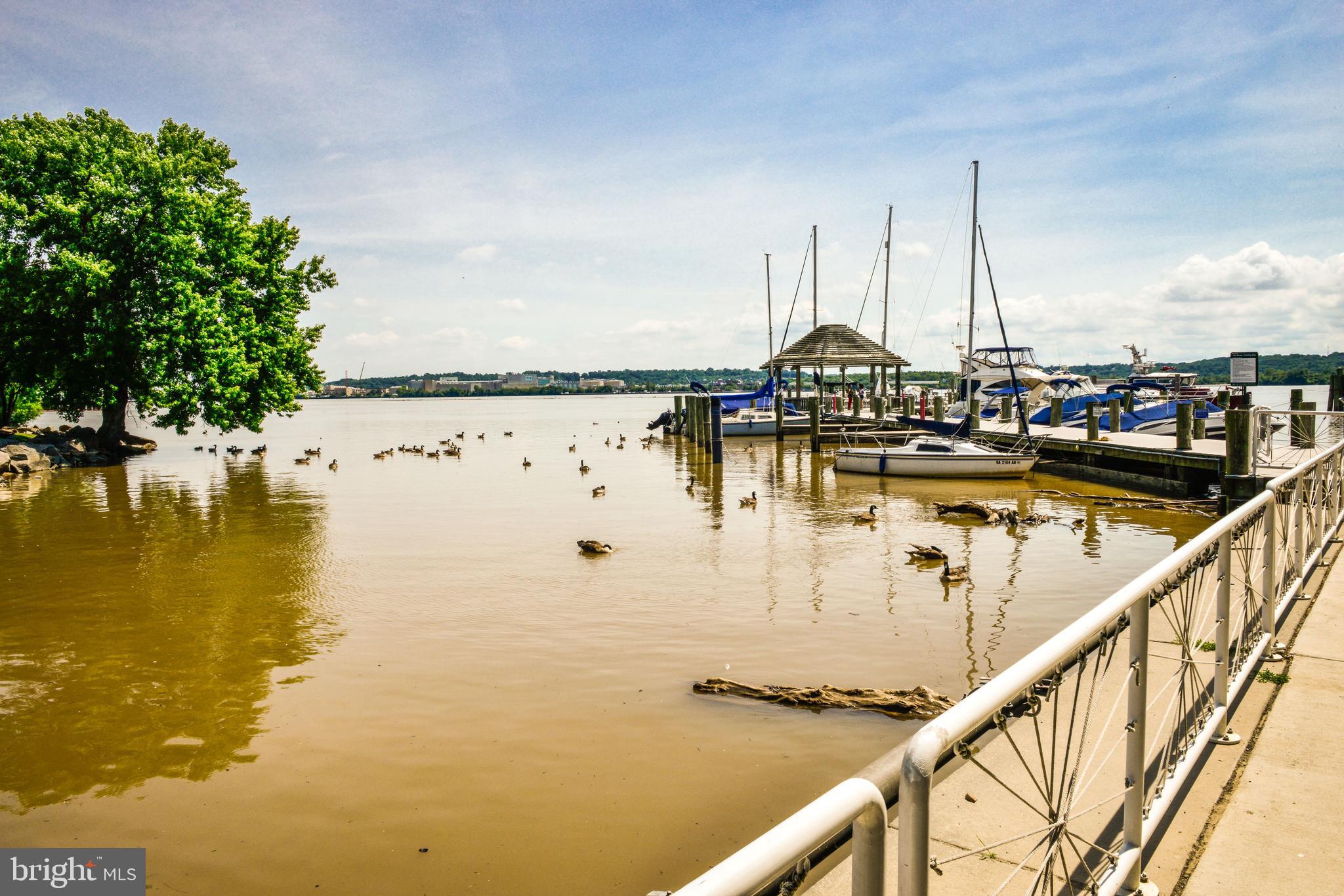 BRANDT TOWNHOUSE - Residential Lease