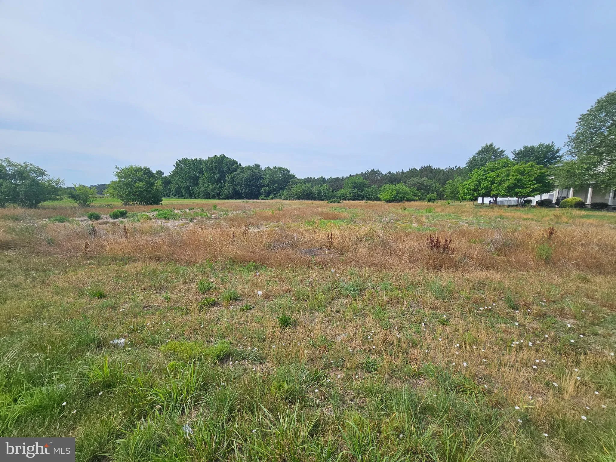Additional image 18 of Johnnycake Landing Road, Frederica, DE 19946