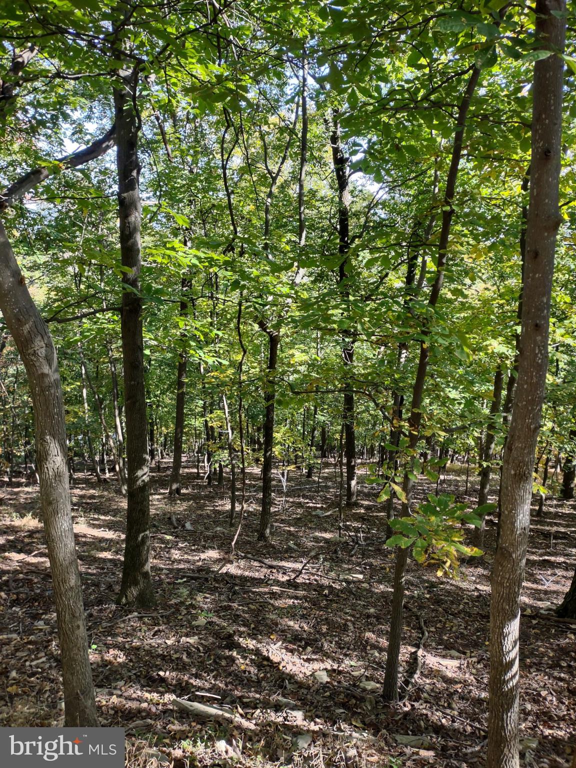 NONE AVAILABLE - Land