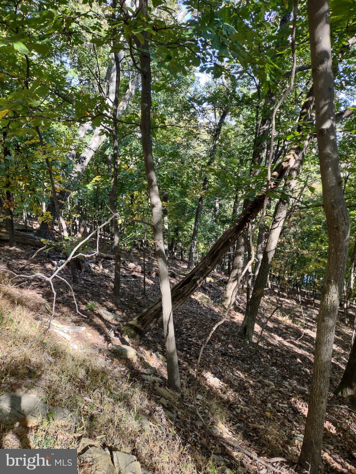 NONE AVAILABLE - Land