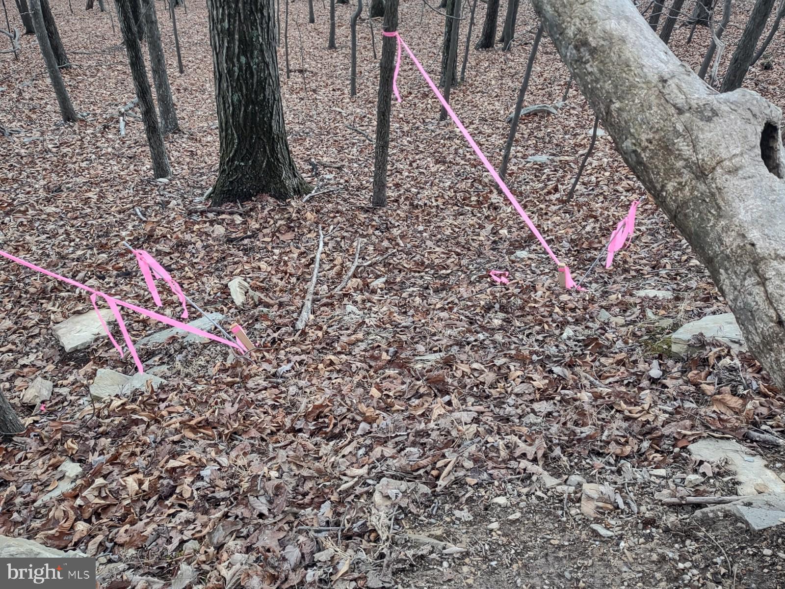 NONE AVAILABLE - Land