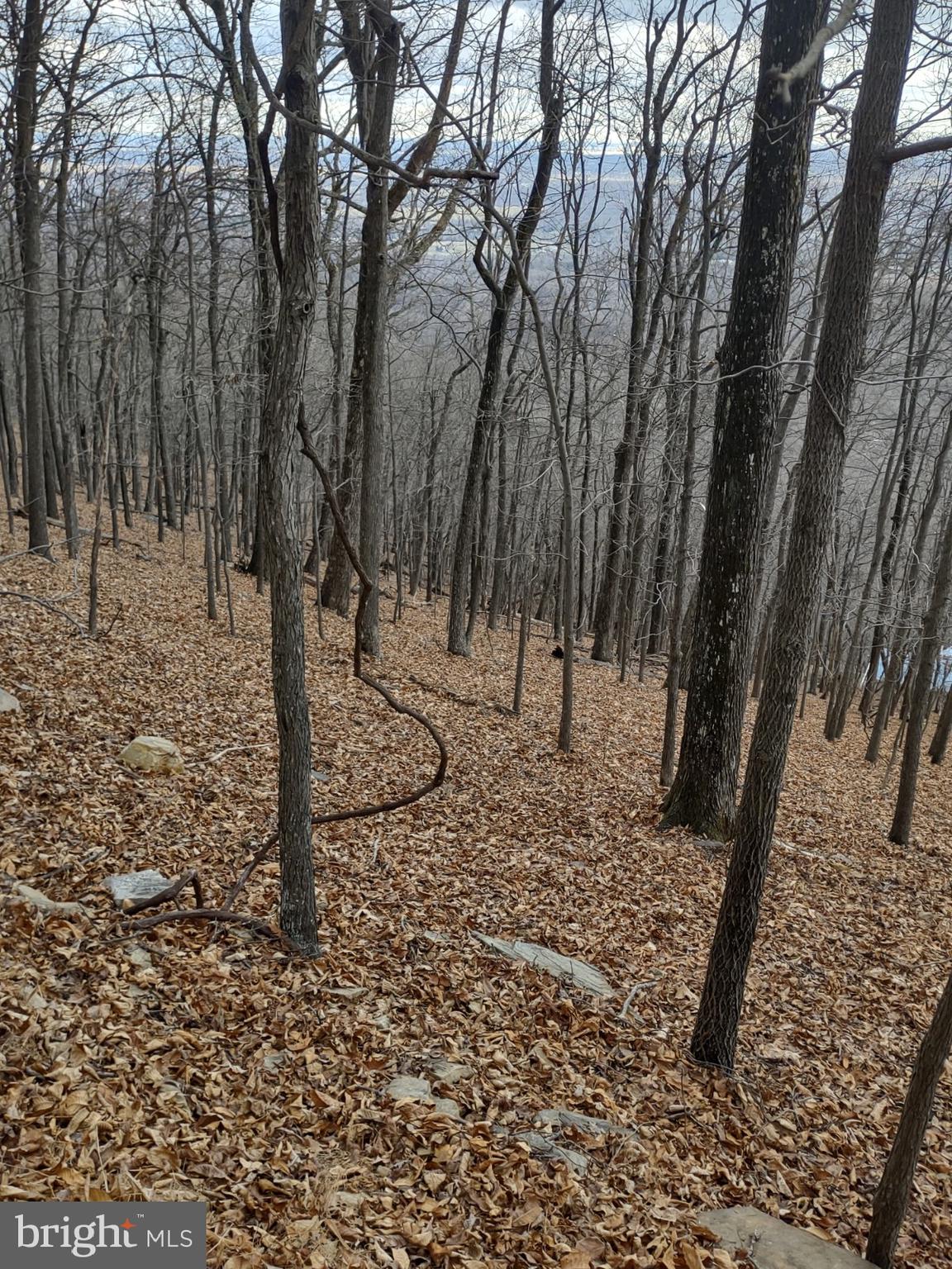 NONE AVAILABLE - Land